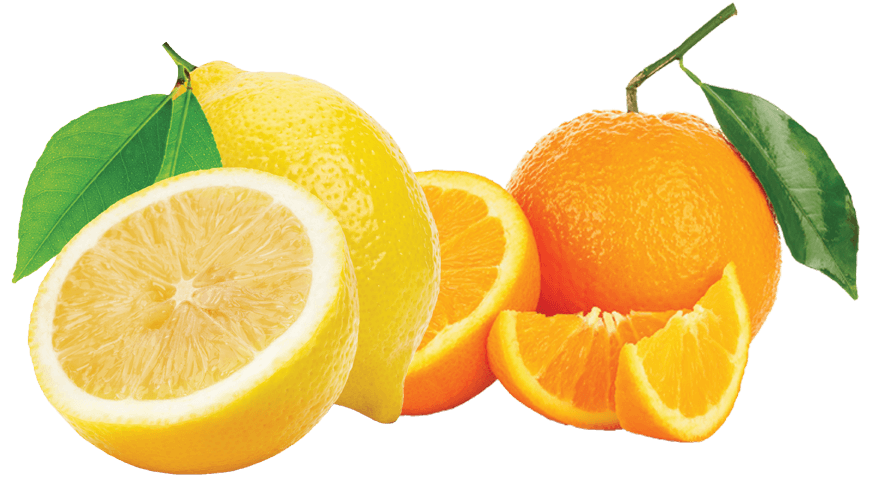 Gelees Con Succhi Di Frutta Arancia E Limone Di Calabria Le Preziose